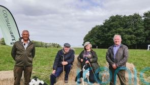 Tim Vine and Kiri Pritchard-McLean take on sheep herding trial for Red Nose Day