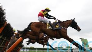 Knight Salute seeking to underline Triumph claims at Kempton