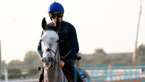 Tony Mullins still living the dream with Princess Zoe