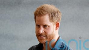 Harry given ‘insufficient information’ over security decision, court hears