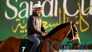 Brad Cox concentrating on Saudi Cup task with Mandaloun