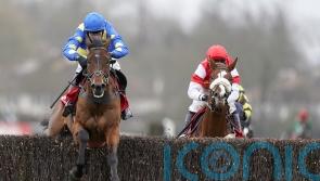 Shan Blue delights Skelton in Warwick workout