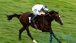 Alenquer proves best at Lingfield for Winter Derby glory
