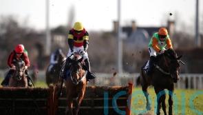 Knight Salute passes Kempton test for Cheltenham