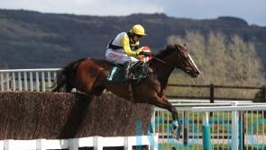 Win My Wings takes flight to land Eider gamble