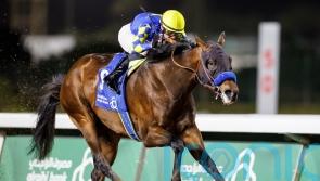 Baffert raider Pinehurst makes all in Saudi Derby