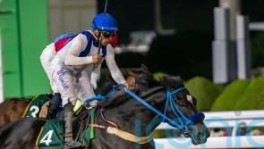 Emblem Road shocks the world’s best in Saudi Cup