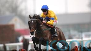 Archie Watson dreaming of Cheltenham Festival glory