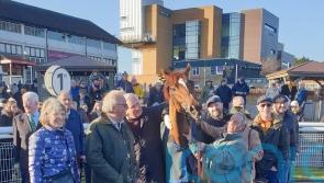 Fabulous four-timer for Gary Moore at Fontwell