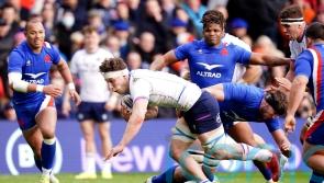 Mixed emotions for Rory Darge as joy of try dampened by heavy defeat to France
