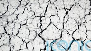 Failing to adapt to climate crisis ‘will cost lives’, world is warned