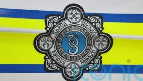 Garda officer left disorientated after ‘very serious and concerning attack’