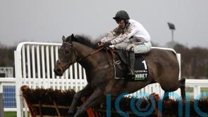 I’m frightened of all of them, says Constitution Hill’s owner