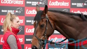 Skelton full of Cheltenham hope with ‘grafter’ Protektorat