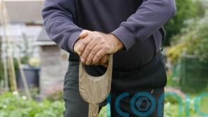 Digging the garden for an hour a week can help lengthen life, study suggests