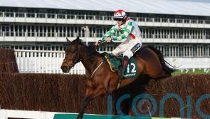 Flutter earnings fall on run of punter-friends sports results