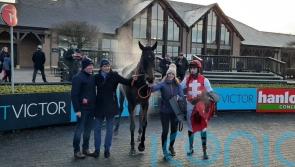 Nolan rules out Cheltenham for Sandor Clegane