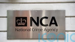 Fugitive Briton accused of laundering £1bn arrested in Spain while walking dogs