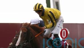 No rush for Murtagh to map out Sonnyboyliston plan