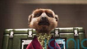Compare the Market takes Russian meerkat TV adverts off the air during the news