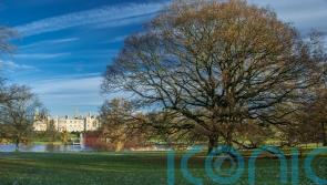 Elizabethan mansion to be site of first Platinum Jubilee wood