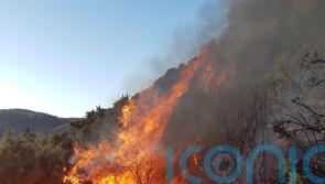 Firefighters spend five hours tackling wildfire stretching 1.5 miles