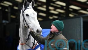 Eldorado Allen expected give bold account in Ryanair for Tizzards
