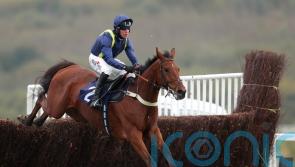 Fiddleronetheroof has look of ‘proper National horse’
