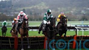 Blazing Khal to miss Punchestown and be saved for next season