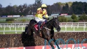 Ladbrokes owner to pay back some furlough cash as profits soar