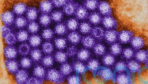 Rising number of norovirus cases in nurseries and care homes