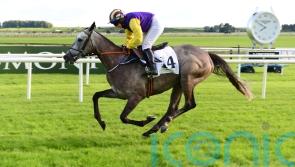 Princess Zoe to miss Dubai with another Gold Cup bid on her radar