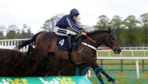 Presentandcounting set to be sole McCain runner at Cheltenham