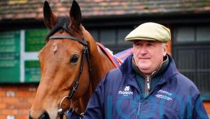 ‘Electric’ Bravemansgame living up to all expectations for buoyant Nicholls