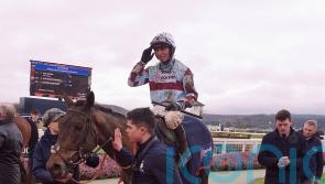 Don delivers to spark double for Nicholls at Taunton