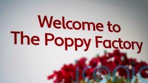 Poppy Factory celebrates centenary as veteran praises it for giving him purpose