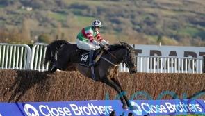 No Cheltenham this year for Chatham Street Lad