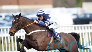 Unbeaten Skytastic to miss Cheltenham and wait for Aintree
