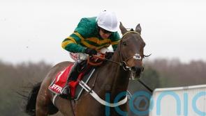 Buveur D’Air returns to the fray in Morebattle Hurdle