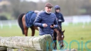 De Bromhead happy with his Cheltenham team