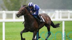 Hukum strikes Dubai Gold to underline Sheema Classic claims