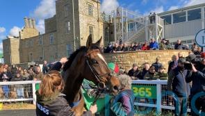 Nuts Well surprises Kelso rivals with Premier Chase success