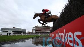Ahoy Senor all set for Bravemansgame clash after pleasing workout