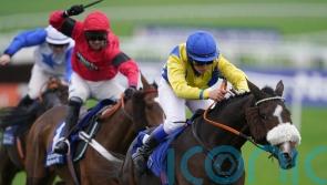 Nervous Cheltenham wait for connections of Kansas City Chief