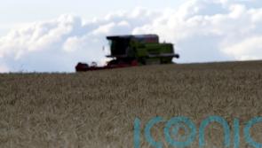 Irish farmers will ‘step up’ to challenge of growing more grain, says minister