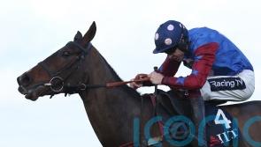 Paisley Park in perfect place as latest Cheltenham challenge looms
