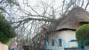 Direct Line reveals claims bill of up to £40m from February storms