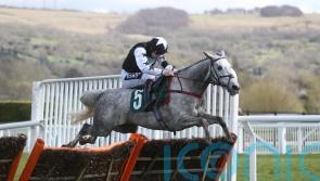 Cheltenham reunion for Frost and Martello Sky