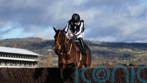 Plate the favoured option for Imperial Alcazar at Cheltenham