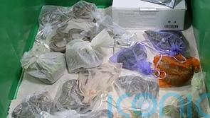 US border officers find 52 reptiles hidden in man’s clothing